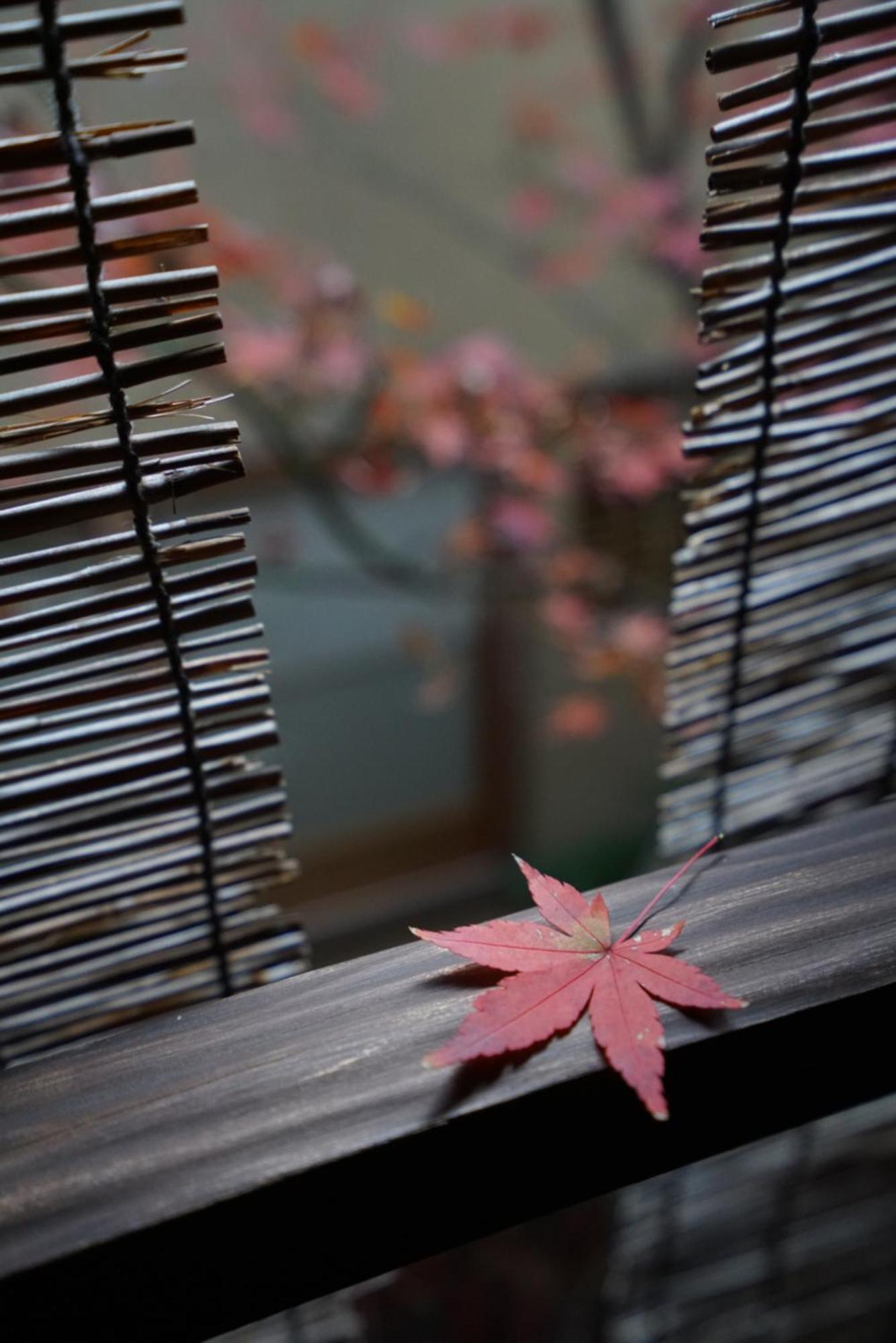 Ryokan Tori Hotel Kyoto Exterior photo